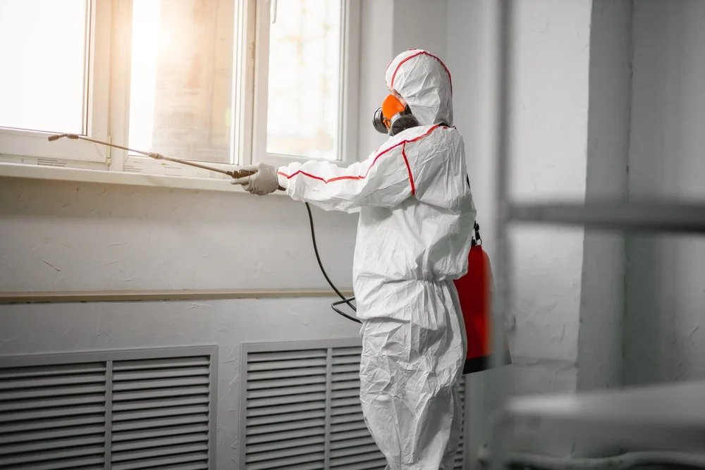 Professional mold remediation services in Belle Mina, AL